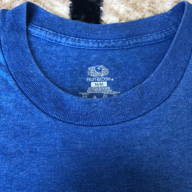 Hanes(ヘインズ)のフルーツオブザルーム　Tシャツ　メンズM メンズのトップス(Tシャツ/カットソー(半袖/袖なし))の商品写真