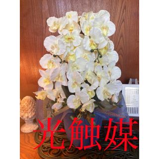 光触媒　人工観葉植物　ウォールグリーン　造花　インテリア　胡蝶蘭7642