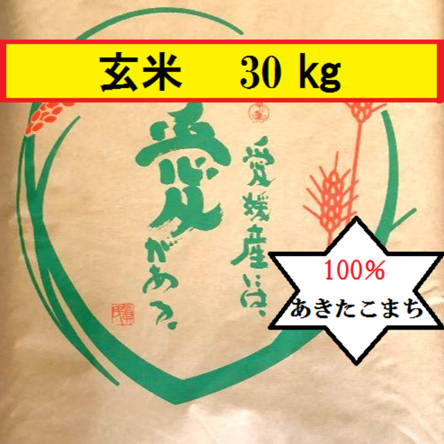 30kg　米/穀物　お米　愛媛県産あきたこまち　令和2年　玄米