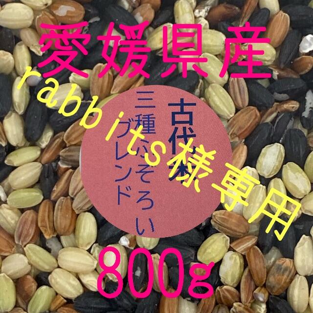 28年度産コシヒカリ玄米60Kg(白米54Kg)