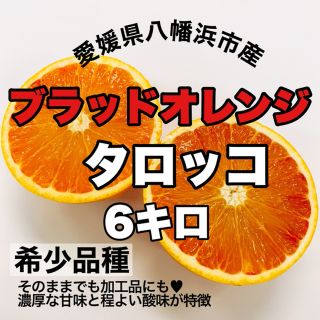 【愛媛県産】ブラッドオレンジ６キロ【希少品種タロッコ】(フルーツ)