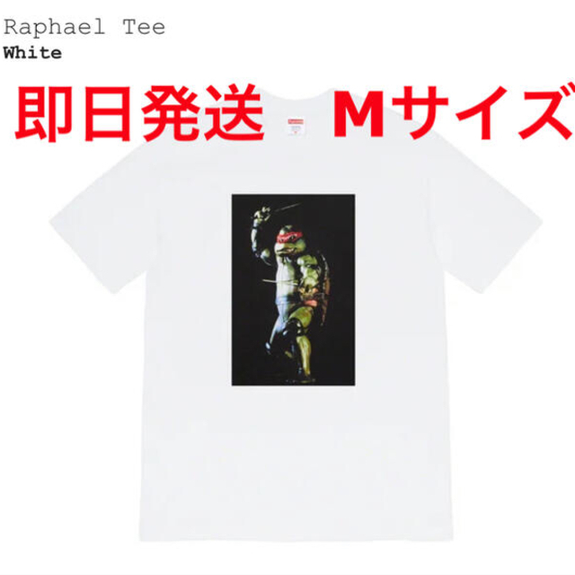 Supreme Raphael Tee ラファエル Tシャツ 白 M