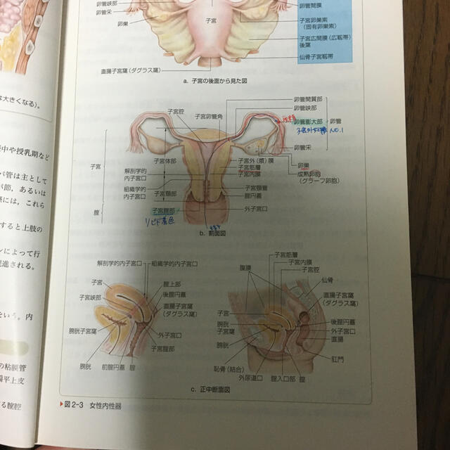 第１４版の通販　成人看護学９　女性生殖器　by