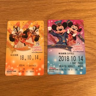 ディズニー(Disney)の【専用】ディズニーリゾートライン1日乗車券　限定デザイン(キャラクターグッズ)