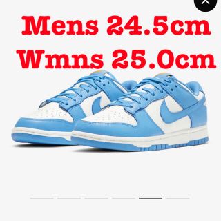 ナイキ(NIKE)のnike  dunk low coast 24.5 25 水色　ナイキ　ダンク(スニーカー)