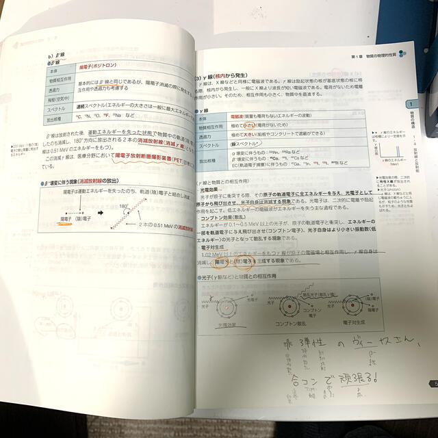 青本　青問　2021 カラー　第106回薬剤師国家試験対策　おまけ付き