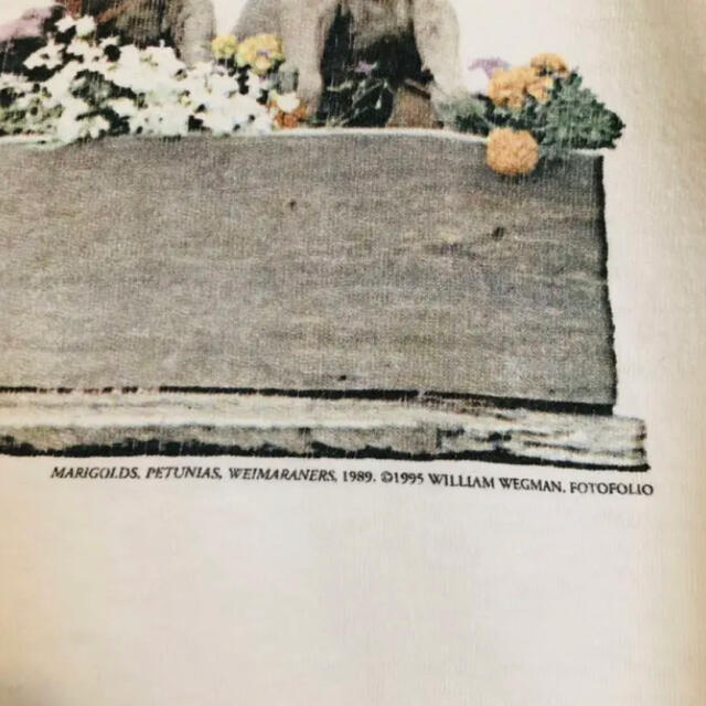 ウィリアムウェグマン William Wegman ロングスリーブTシャツ M - T