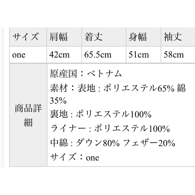 DOORS ダウンライナーマウンテンパーカー