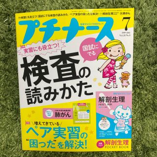 プチナース 2019年 07月号(専門誌)