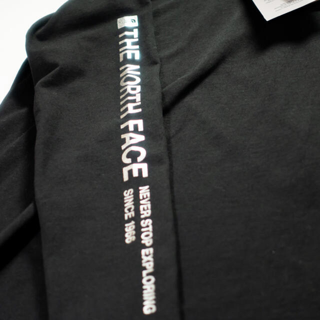 THE NORTH FACE(ザノースフェイス)の欧州限定◆THE NORTH FACE シルバーロゴロンT 日本L相当 レディースのトップス(Tシャツ(長袖/七分))の商品写真