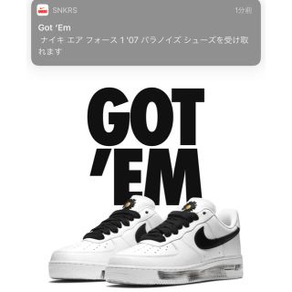 ナイキ(NIKE)の213様専用 NIKE AIR FORCE1 paranoise(スニーカー)