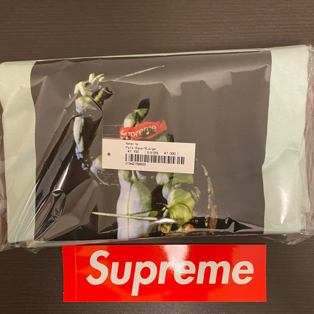 Supreme raphael tee pale aqua タートルズ 1