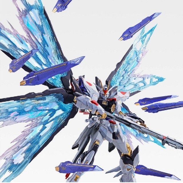 即発送！　METAL BUILD ストライクフリーダムガンダム SOUL