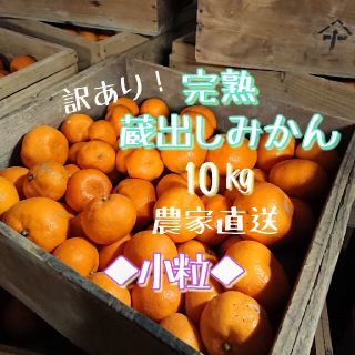 小粒！完熟蔵出しみかん 10kg ご家庭用(フルーツ)