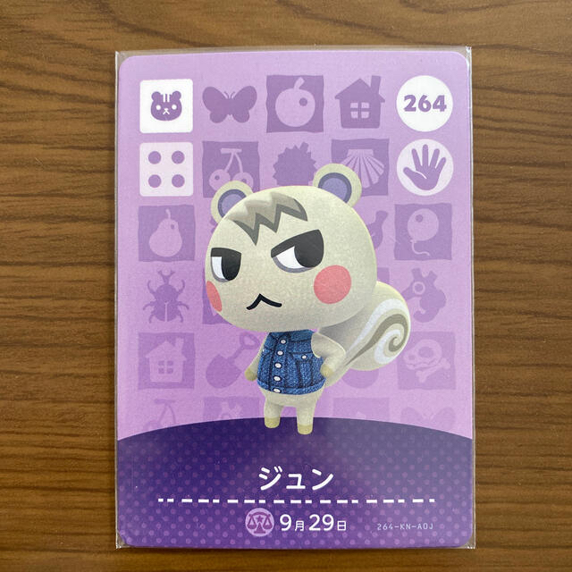 あつまれどうぶつの森　amiibo ジュン