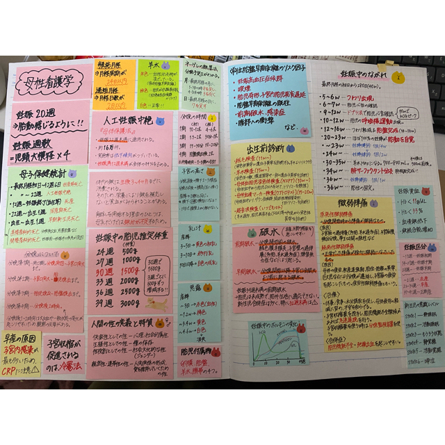 看護師国家試験 まとめノート 対策 付箋ノート 国試 一般問題