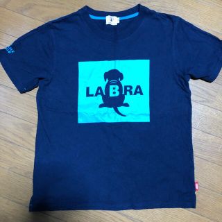 ラブラドールリトリーバー(Labrador Retriever)の新品未使用　ラブラ　Tシャツ　レディースL(Tシャツ(半袖/袖なし))