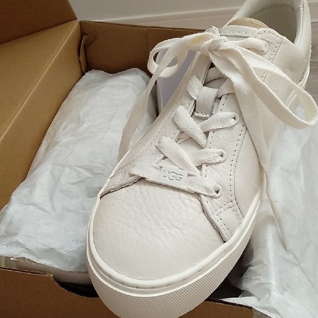 UGG スニーカー ZILO