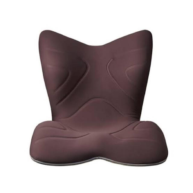 プレゼントを選ぼう！ Style MTG PREMIUM 美品 スタイルプレミアム　骨盤サポートチェア 座椅子