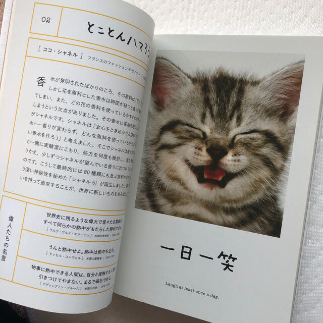 競売 人生はニャンとかなる 明日に幸福をまねく68の方法 sogelec.re