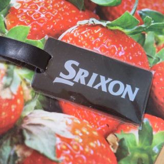 スリクソン(Srixon)の【新品☆未開封】スリクソン ネームプレート？キーホルダー？(バッグ)