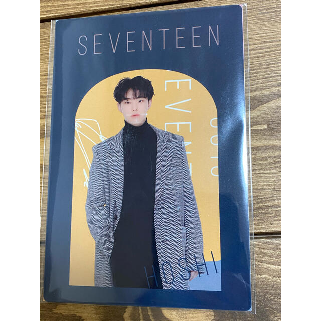 【しゅばに様専用】seventeen ホシくん D賞 エンタメ/ホビーのタレントグッズ(アイドルグッズ)の商品写真