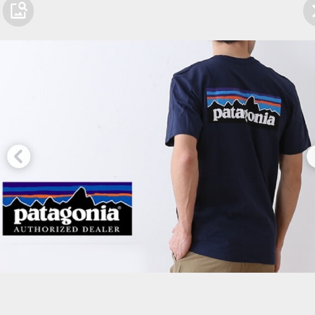 patagonia(パタゴニア)のpatagonia　パタゴニア　Tシャツ メンズのトップス(Tシャツ/カットソー(半袖/袖なし))の商品写真