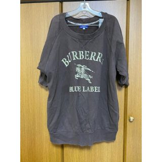 バーバリーブルーレーベル(BURBERRY BLUE LABEL)のバーバリーブルーレーベルゆったりサイズ　チュニック　スウェット　M～3L位(チュニック)