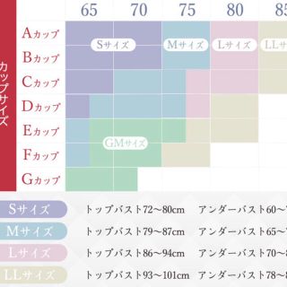 セレブラ・スリビーセット　ノーブルベージュ　Lサイズ