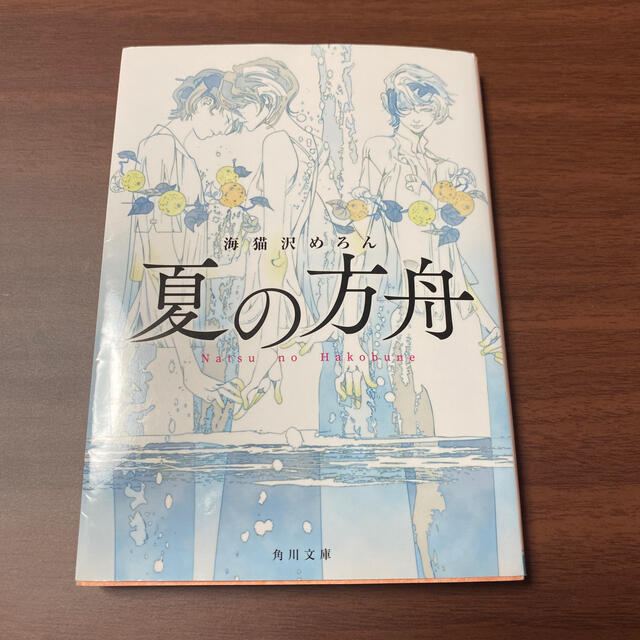 夏の方舟 エンタメ/ホビーの本(文学/小説)の商品写真