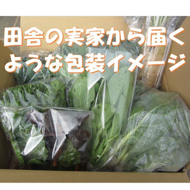 もうすぐ春だね～冬野菜詰め合わせ　アウトレット価格にて　７０サイズ 食品/飲料/酒の食品(野菜)の商品写真