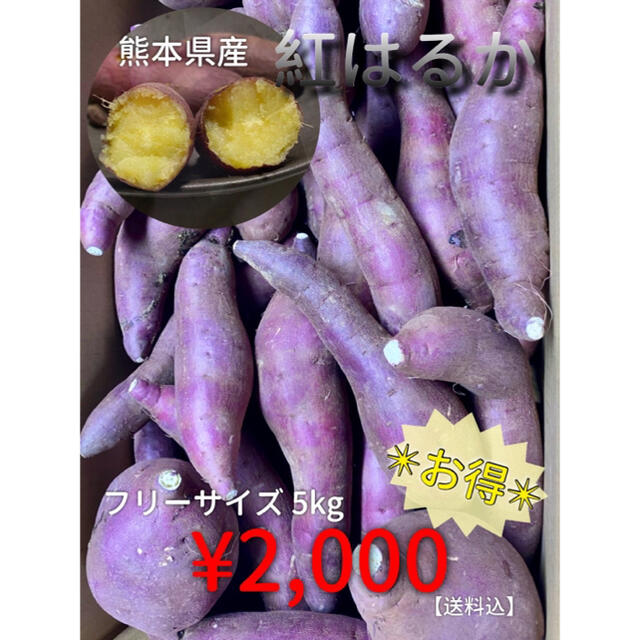 紅はるか　一ヶ月以上熟成済み　フリーサイズ 食品/飲料/酒の食品(野菜)の商品写真