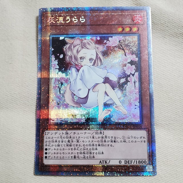 遊戯王 灰流うらら プリズマティックシークレット 絵違い 美品 ...