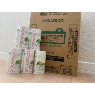 サンスター(SUNSTAR)のSODATECO ソダテコ やさいではぐくむスムージー27本(その他)