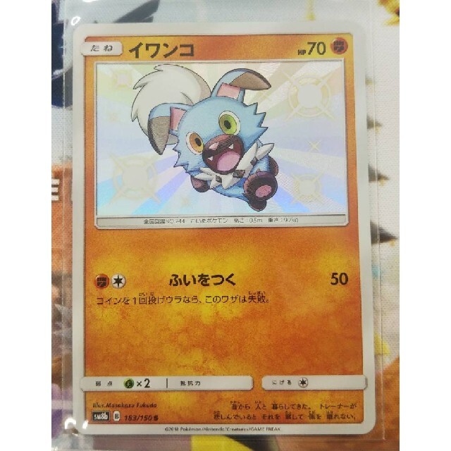 ポケモン ポケカ イワンコ ルガルガン 色違い Ssr 進化セット 美品の通販 By Himamari ポケモンならラクマ ポケモン ポケカ イワンコ ルガルガン 色違い Ssr 進化セット 美品の通販 By Himamari ポケモンならラクマ
