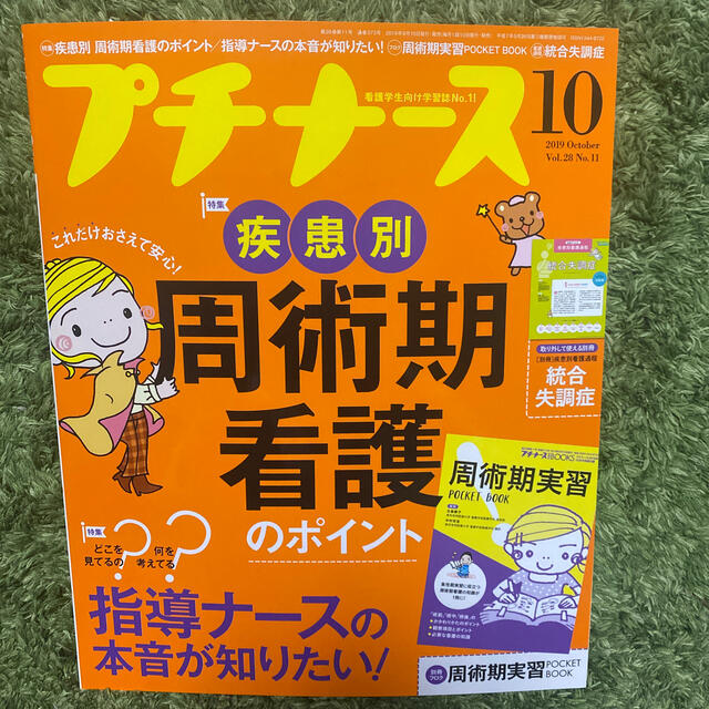 プチナース 2019年 10月号 エンタメ/ホビーの雑誌(専門誌)の商品写真