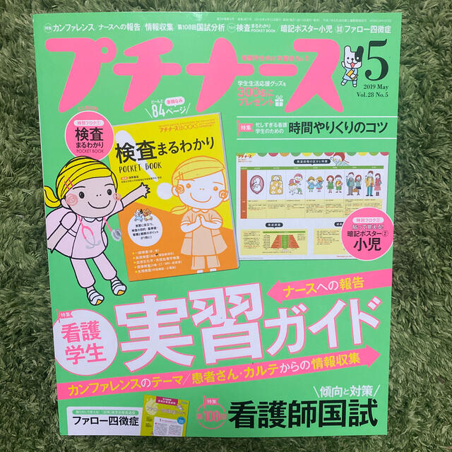 プチナース 2019年 05月号 エンタメ/ホビーの雑誌(生活/健康)の商品写真