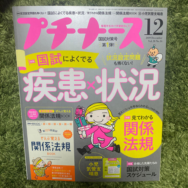 プチナース 2019年 12月号 エンタメ/ホビーの雑誌(専門誌)の商品写真