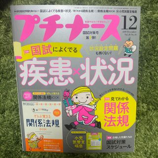 プチナース 2019年 12月号(専門誌)