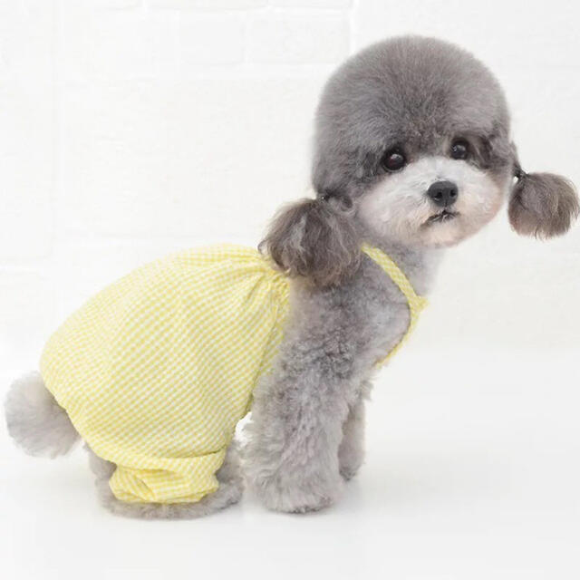 犬服 ペット服 ドッグウェア 可愛い ロンパース オシャレ 犬用品の通販 By Miti ラクマ 犬服 ペット服 ドッグウェア 可愛い ロンパース オシャレ 犬用品の通販 By Miti ラクマ
