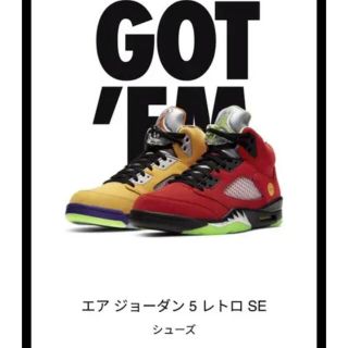 ナイキ(NIKE)のNIKE AIR JORDAN 5 RETRO SE WHAT THE 24.5(スニーカー)