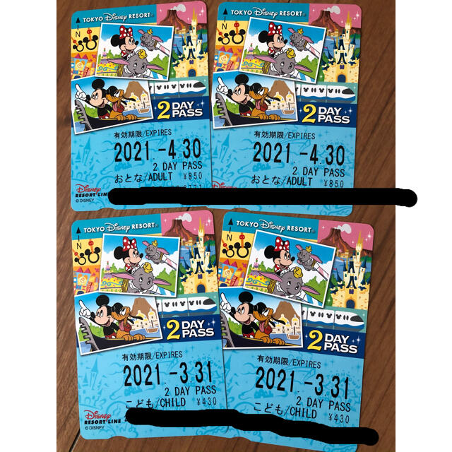 ディズニーリゾートライン　フリーキップ チケットの施設利用券(遊園地/テーマパーク)の商品写真