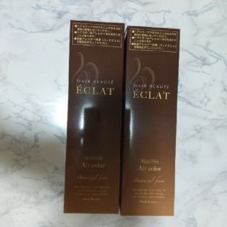 ヘアボーテエクラ ボタニカルエアカラーフォーム ダークブラウン150g×2本(白髪染め)