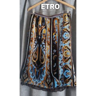 エトロ(ETRO)の大変美品　ETRO  素敵なベロアスカート(ひざ丈スカート)