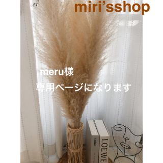 パンパスグラス　meru様専用ページ(ドライフラワー)