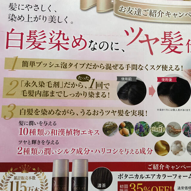 ボタニカルエアカラーフォーム　 コスメ/美容のヘアケア/スタイリング(白髪染め)の商品写真