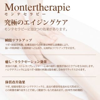 モンテ正規品☆ モンテ リフトシーツ 100×200cm (シングル)の通販 by