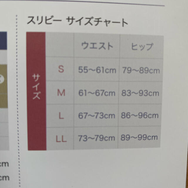 セレブラ スリビー サムシングブルー Lサイズ新品!ナイトブラ 骨盤補整 3