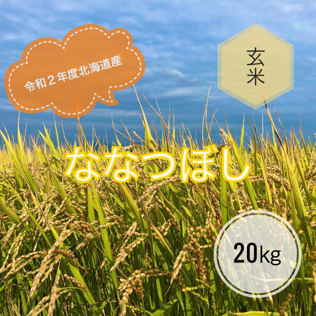 令和2年度北海道産ななつぼし玄米20㎏農家直送