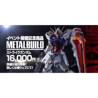 バンダイ(BANDAI)のMETAL BUILD GAT-X105 ストライクガンダム 機動戦士ガンダム(模型/プラモデル)